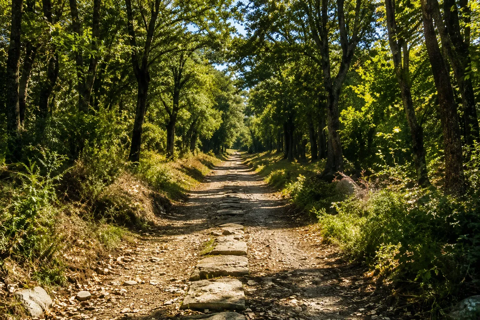 Bosque de ejemplo